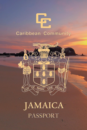 Open image in slideshow, Jamaican Passport.
